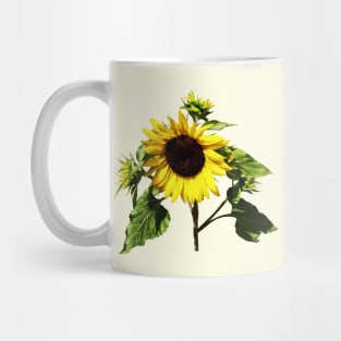 Sunflower Taking a Bow Mug